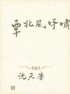 西北风呼啸的中午