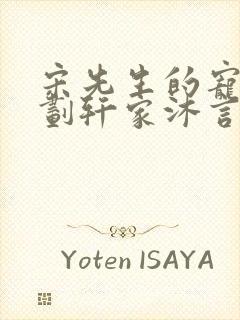 宋先生的宠妻计划轩家沐言