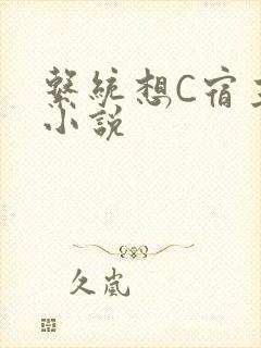 系统想C宿主的小说