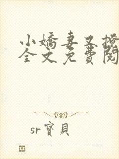 小娇妻又撩又甜全文免费阅读