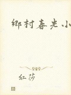乡村春光小说
