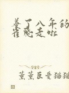 养了八年的金丝雀飞走啦