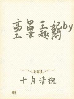 高昌王妃by黛玉笔趣阁