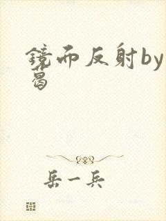 镜面反射by九葛