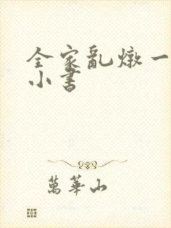 全家乱炖一锅烩小书