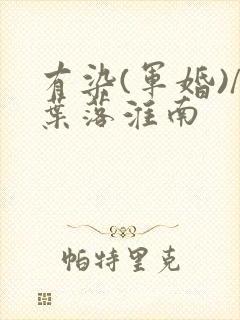 有染(军婚)/叶落淮南