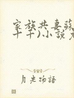 家族共妻苏苏(十千)小说免费