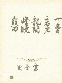 巅峰龙主丁长顺田晓兰免费阅读