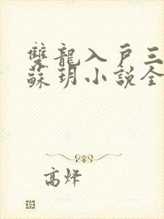 双龙入户三人行苏玥小说全文阅读