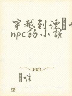 穿越到湮婸世界npc的小说