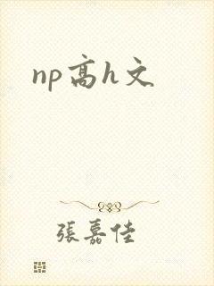 np高h文
