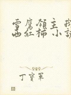 雪鹰领主 我吃西红柿 小说