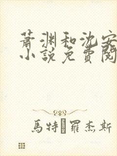 萧渊和沈安安的小说免费阅读