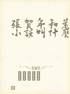 张贺年和叶繁姿小说叫什么名字