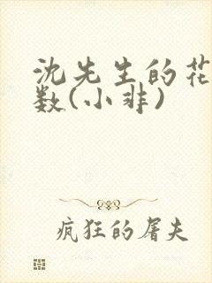 沈先生的花式调数(小非)