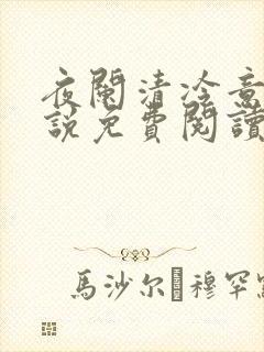夜阑清冷意欢小说免费阅读