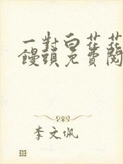 一对白花花的大馒头免费阅读