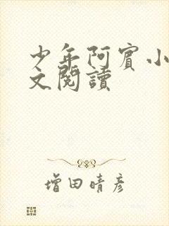 少年阿宾小说全文阅读