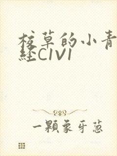 校草的小青梅不经C1V1