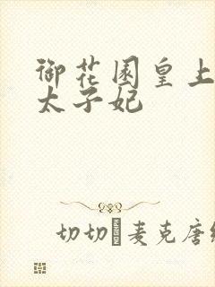 御花园皇上撞着太子妃