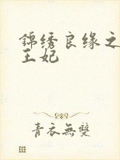 锦绣良缘之北地王妃