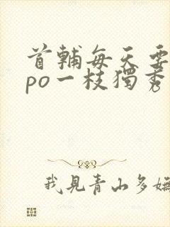 首辅每天要不够po一枝独秀全文