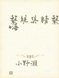 系统集精系统高嗨