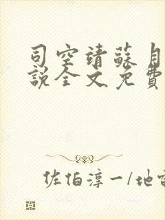 司空靖苏月汐小说全文免费阅读