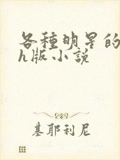 各种明星的综艺h版小说