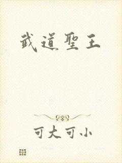 武道圣王