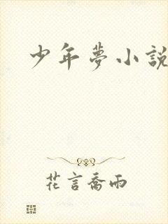 少年梦小说
