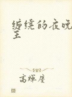 缠绕的夜晚双男主