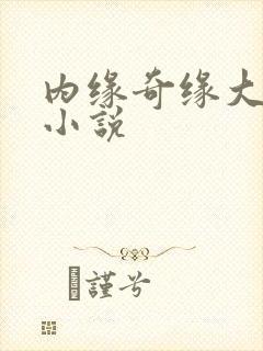 内缘奇缘大团圆小说