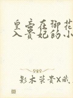 皇帝在御花园进入贵妃的小说