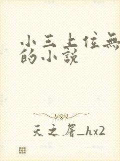 小三上位无三观的小说