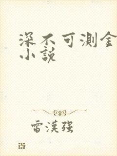 深不可测金银花小说