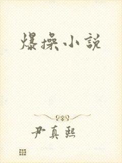 爆操小说