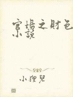 官场之财色诱人小说