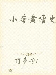 小唐黄倩史