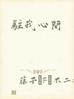 驻我心间
