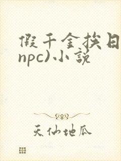 假千金挨日记(npc)小说