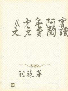 《少年阿宾》全文免费阅读