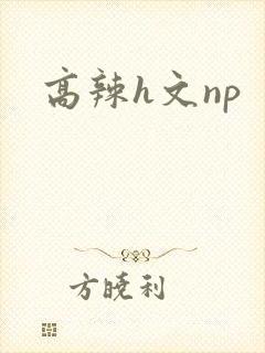 高辣h文np