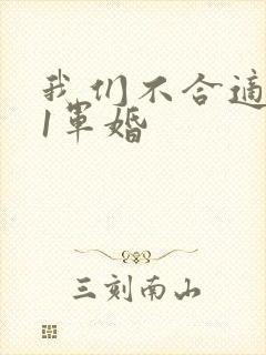 我们不合适1v1军婚