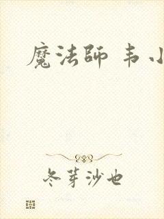 魔法师 韦小宝
