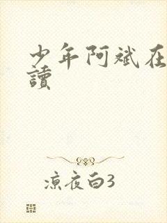 少年阿斌在线阅读