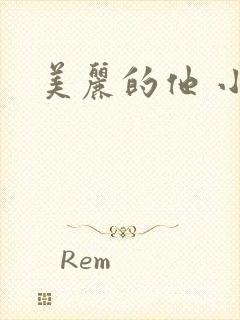 美丽的他 小说