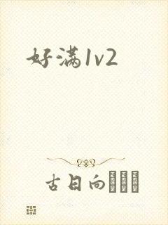 好满1v2