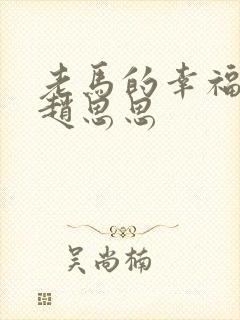 老马的幸福生活赵思思