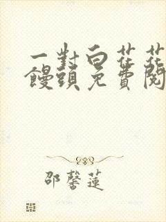 一对白花花的大馒头免费阅读